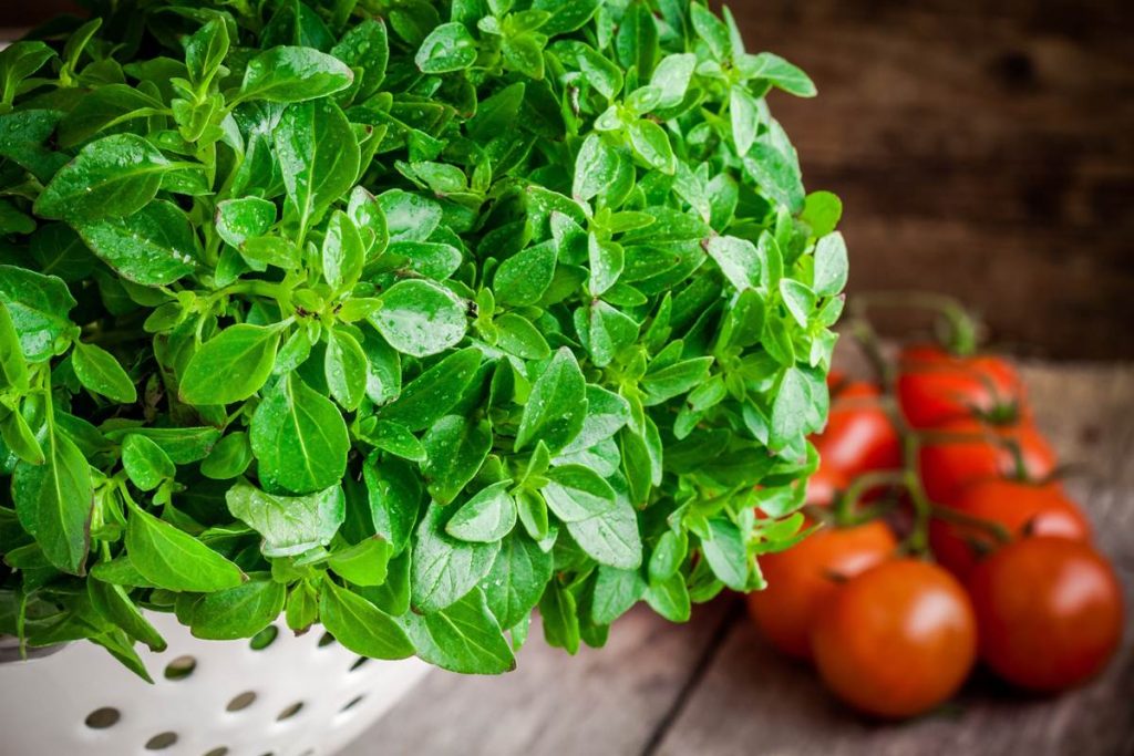 5 Tips sobre contaminación cruzada: separación de alimentos.