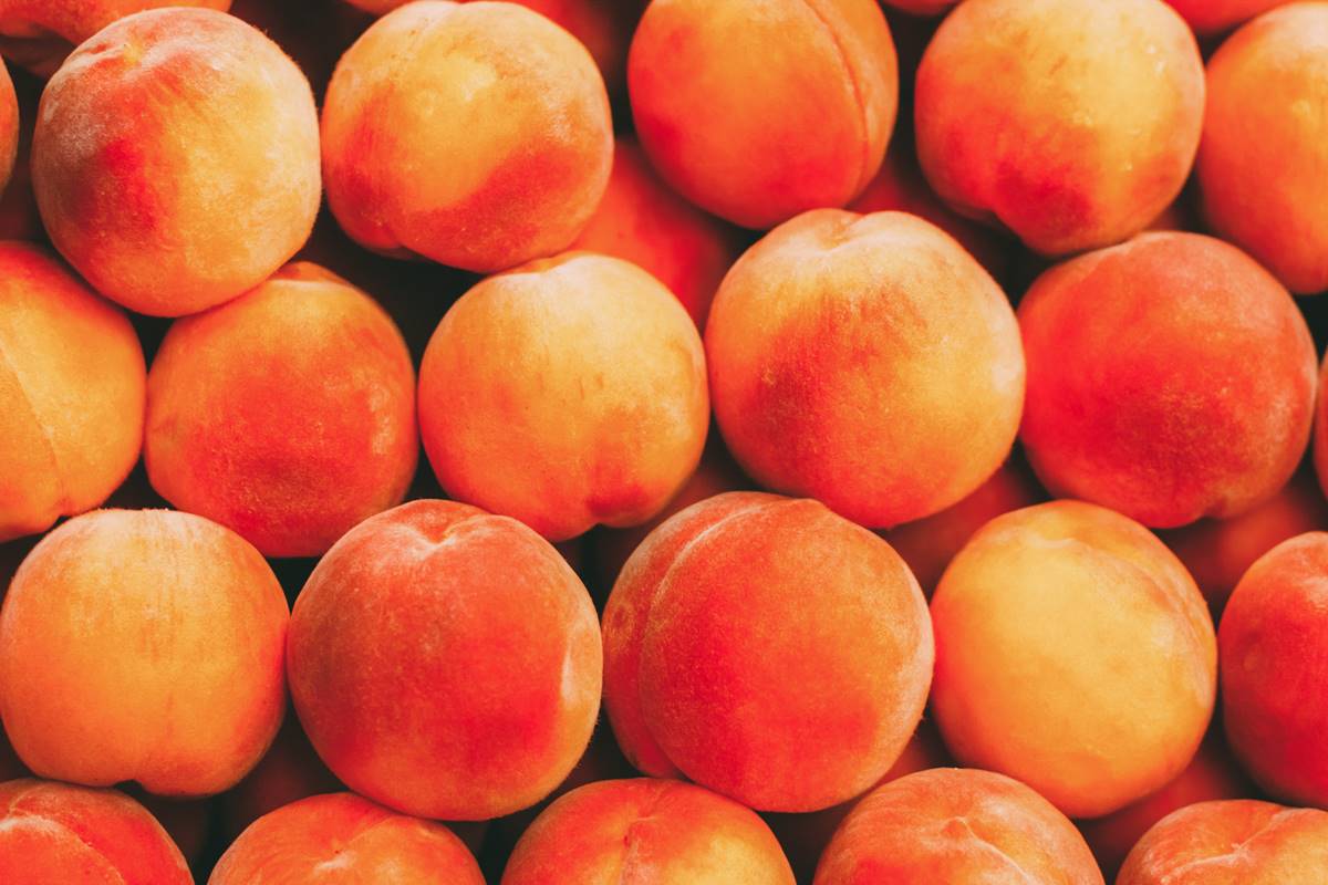 Tips sobre inocuidad alimentaria [julio 2019]