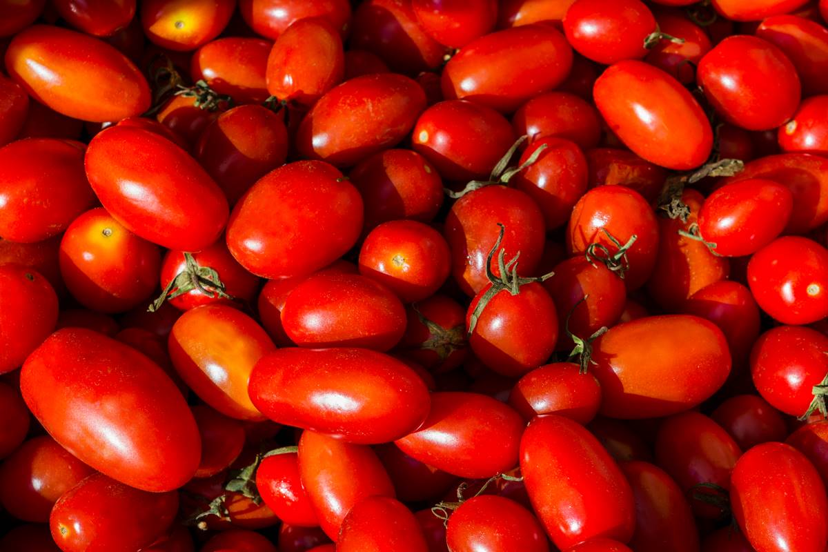 Alimentos y salud: ciencia aplicada a la protección de los alimentos [Video]