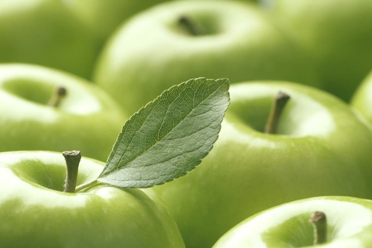 Tips sobre inocuidad alimentaria [agosto 2019]