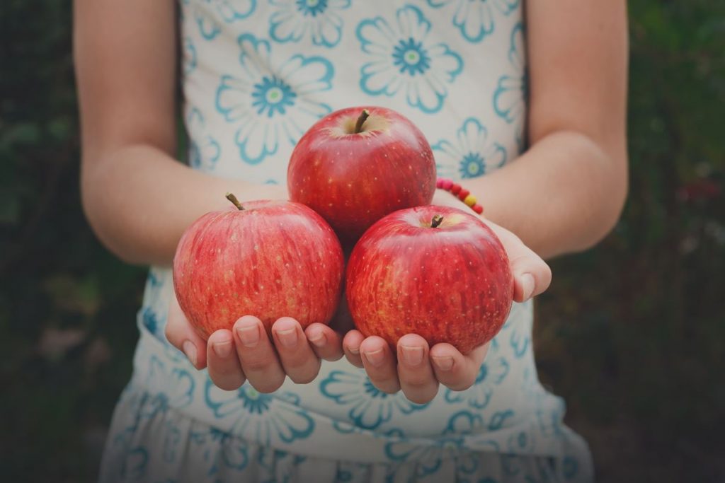 Día Mundial de la Alimentación 2019