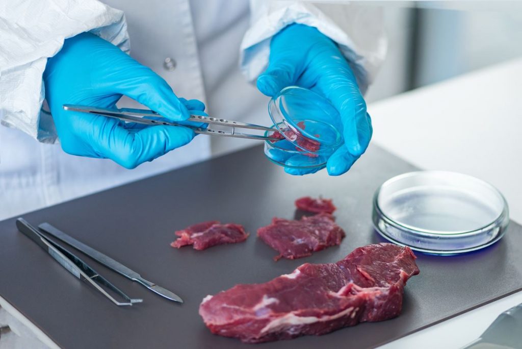 Planta de carne: falsificación de resultados de pruebas de E. coli