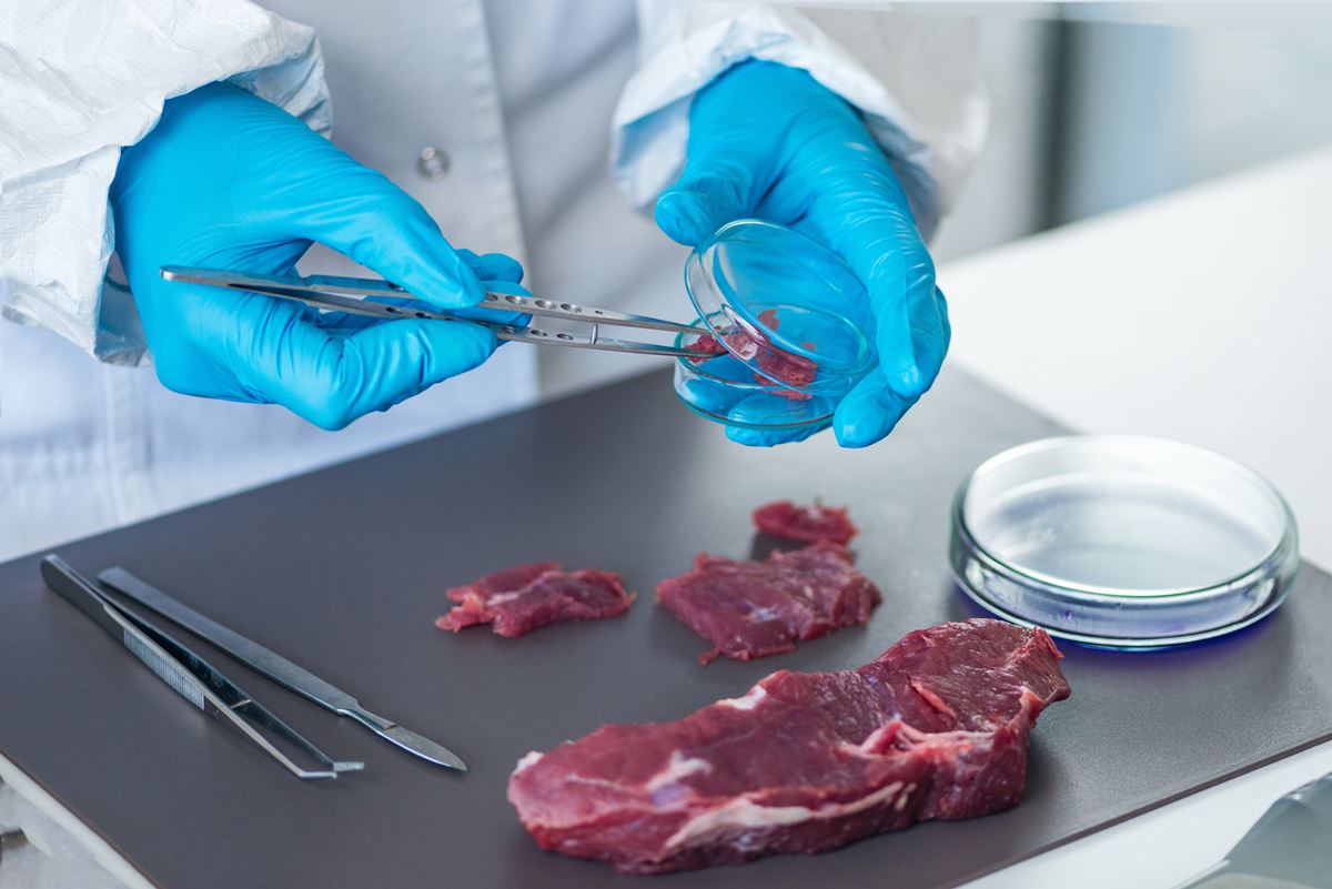 Planta de carne: falsificación de resultados de pruebas de E. coli