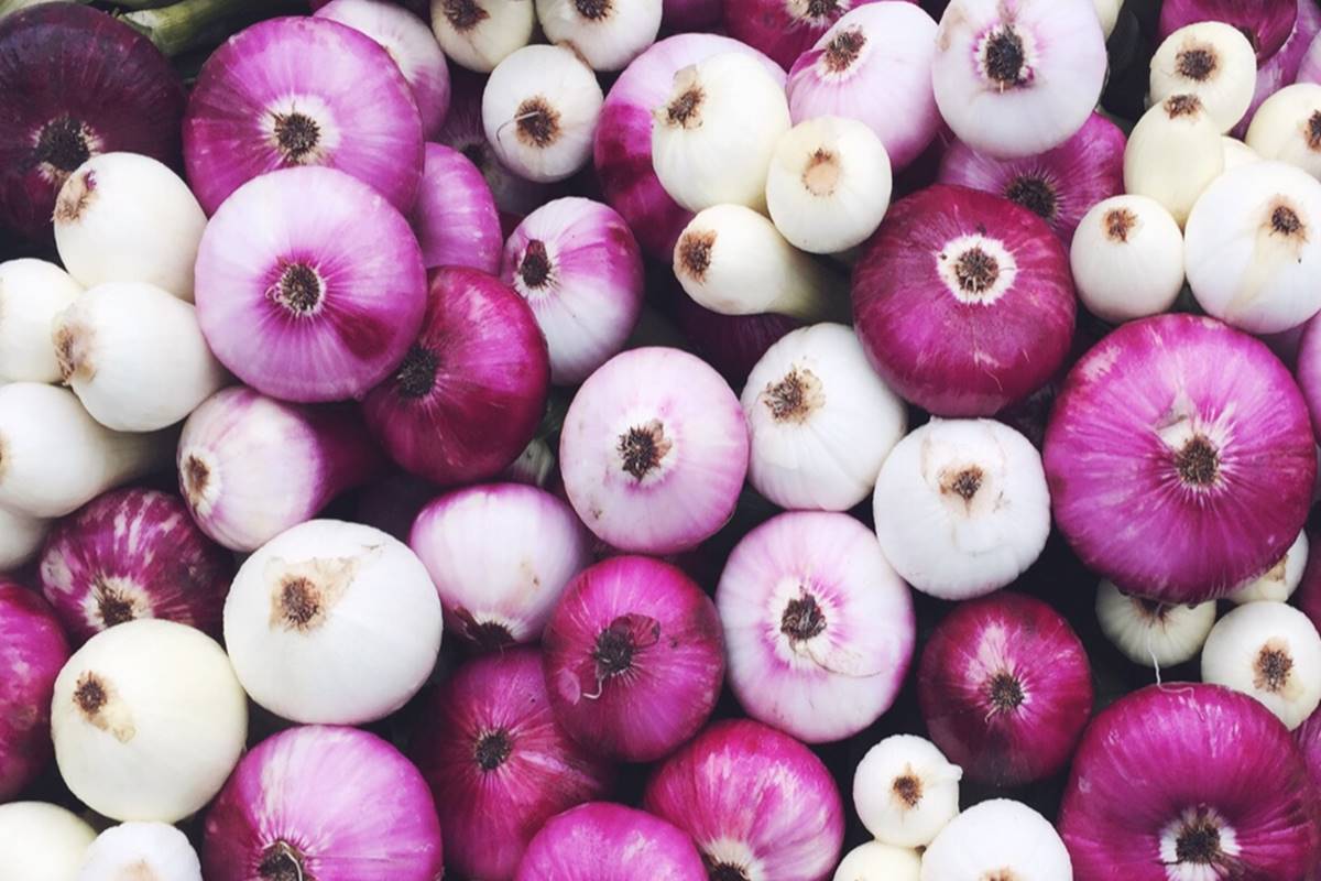 Tips sobre inocuidad alimentaria [septiembre 2019]