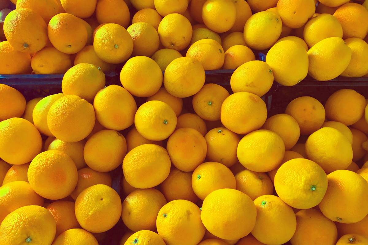 Tips sobre inocuidad alimentaria [octubre 2019]