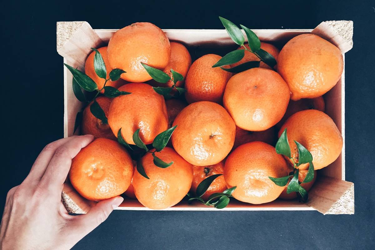 Tips sobre inocuidad alimentaria [enero 2020]