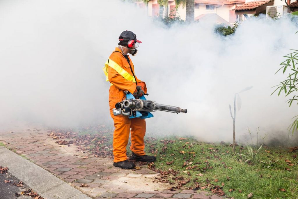Dengue: trabajar en la prevención