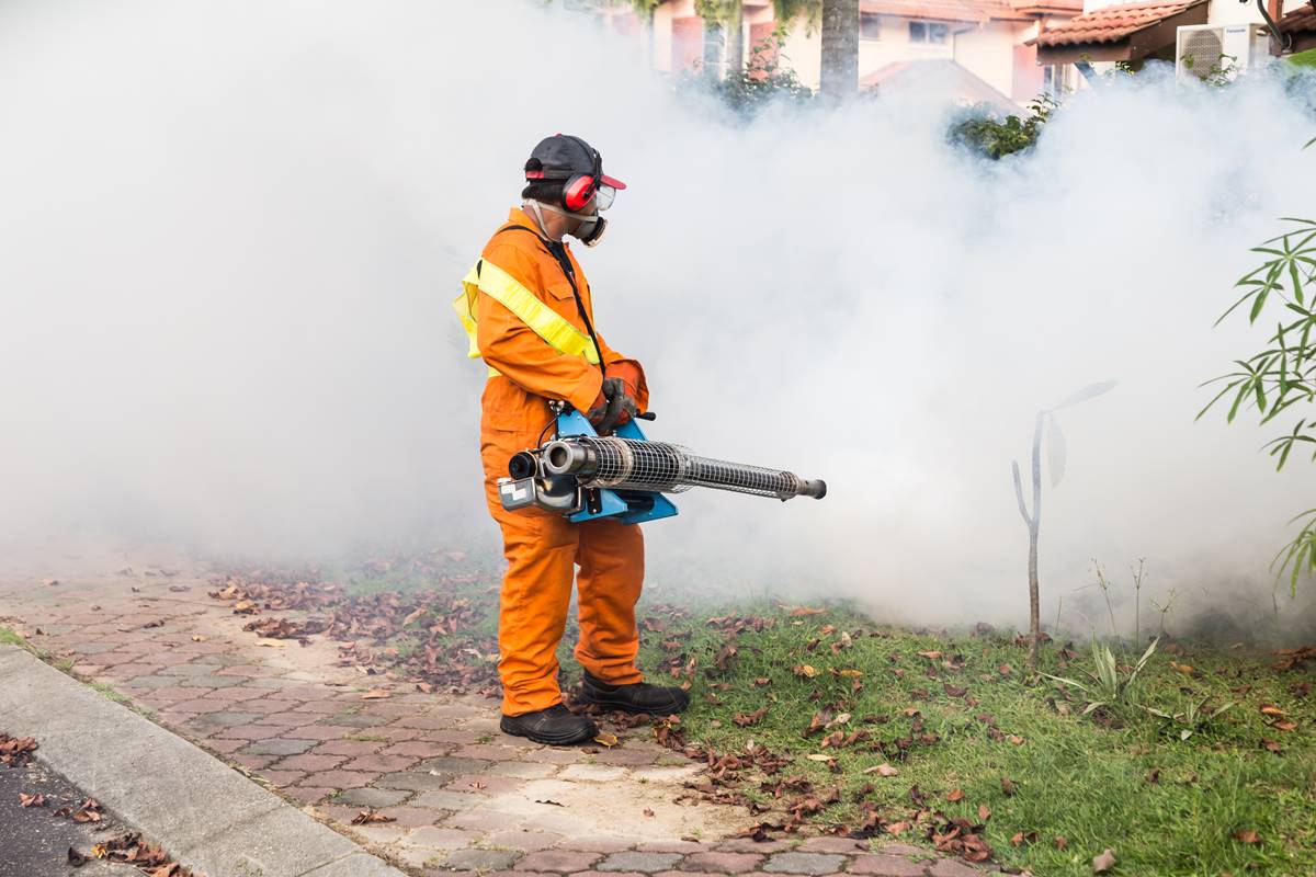 Dengue: trabajar en la prevención