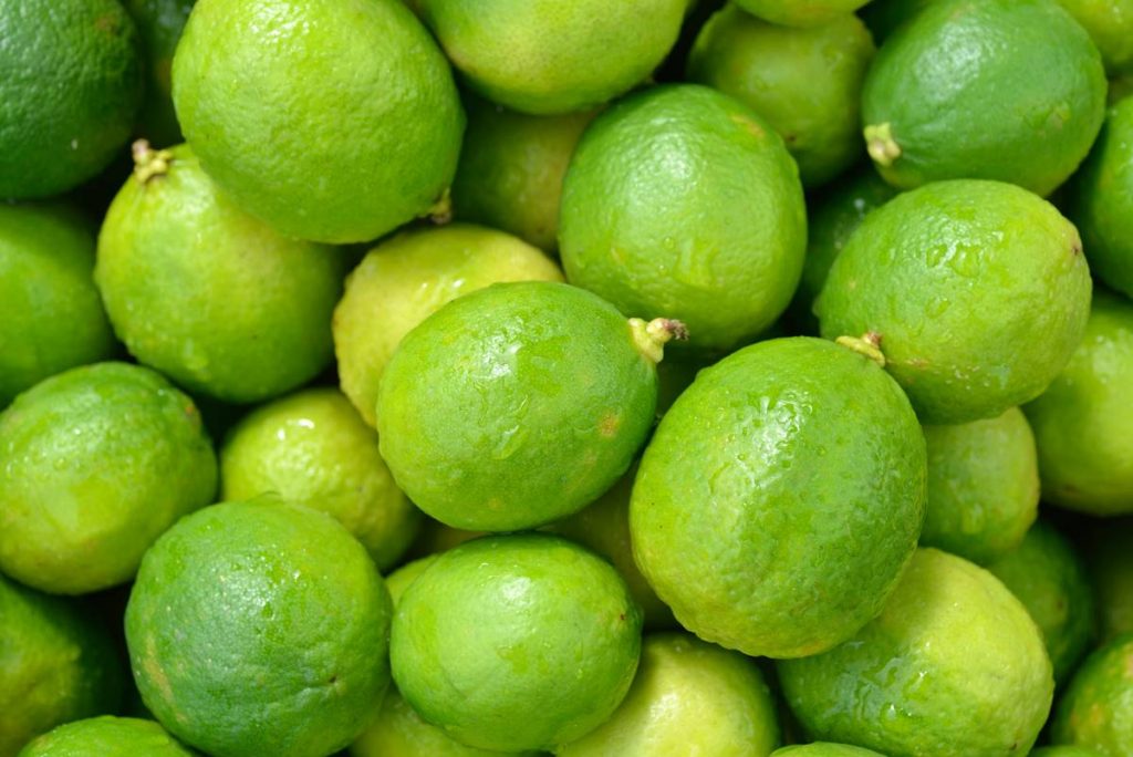 Tips sobre inocuidad alimentaria [abril/mayo 2020]