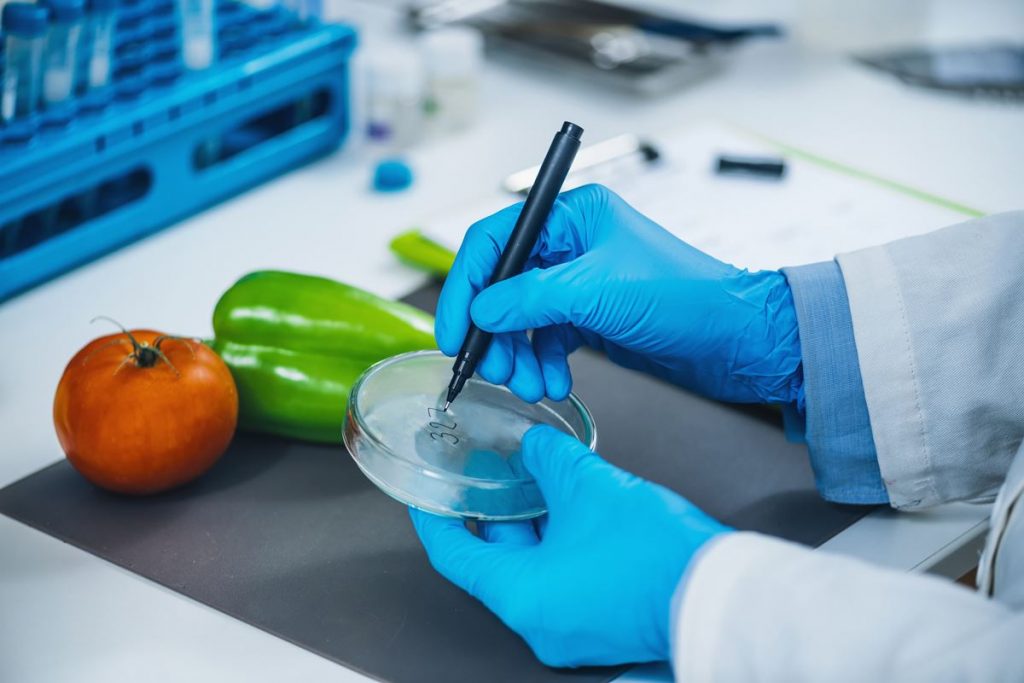 Curso Contaminantes Químicos en los Alimentos, por Soraya Bellini 