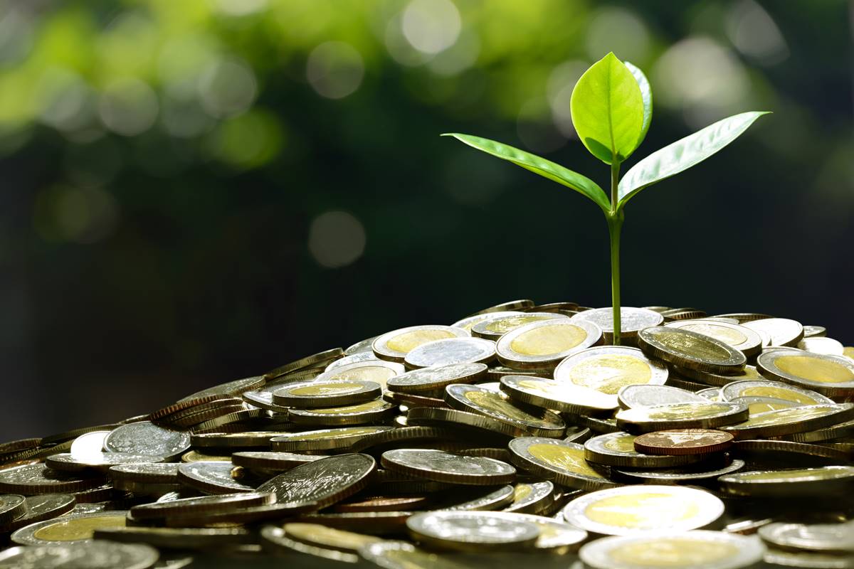 Escenas de Auditorías: ahorrar dinero 