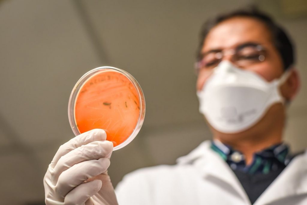 Listeria y desagües 