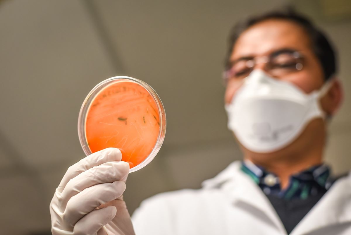 Listeria y desagües 