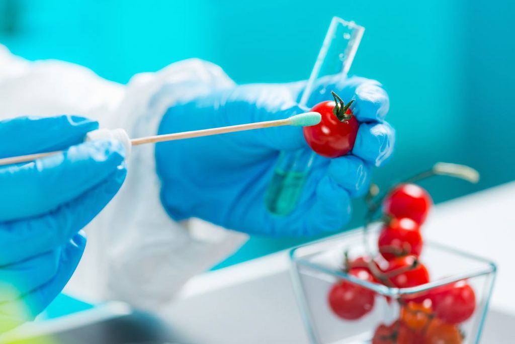 Curso Online: "Contaminantes Químicos en los Alimentos" [NUEVO]