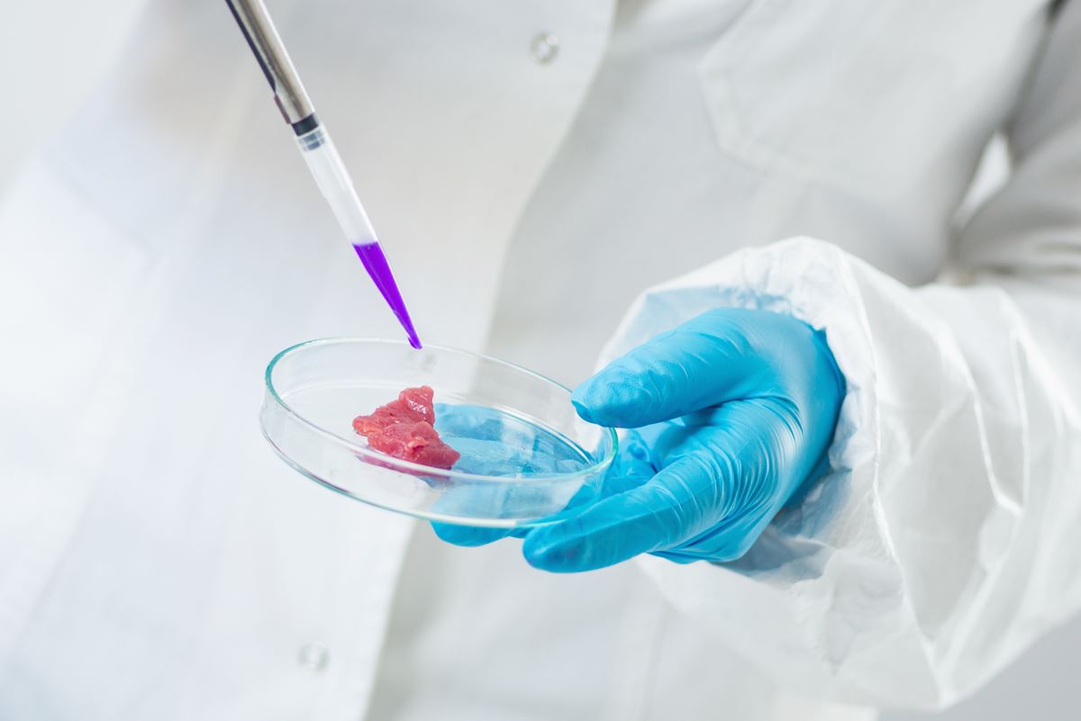 Mitos y verdades sobre Escherichia coli, productor de toxina Shiga, y la carne vacuna [taller gratuito]