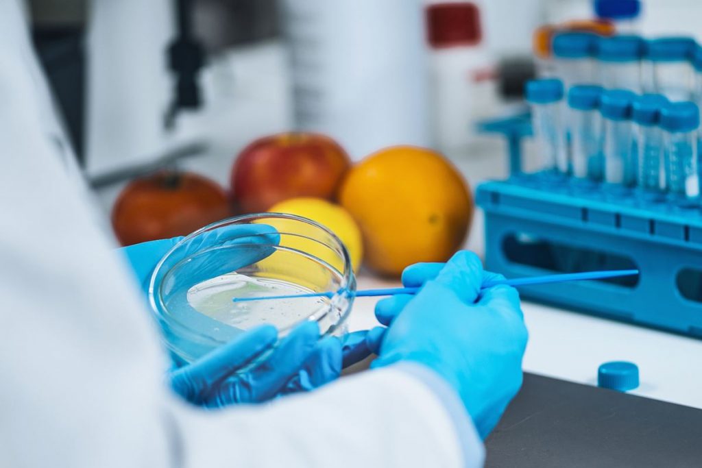 Gestión Alimentaria: capacitación a distancia In Company