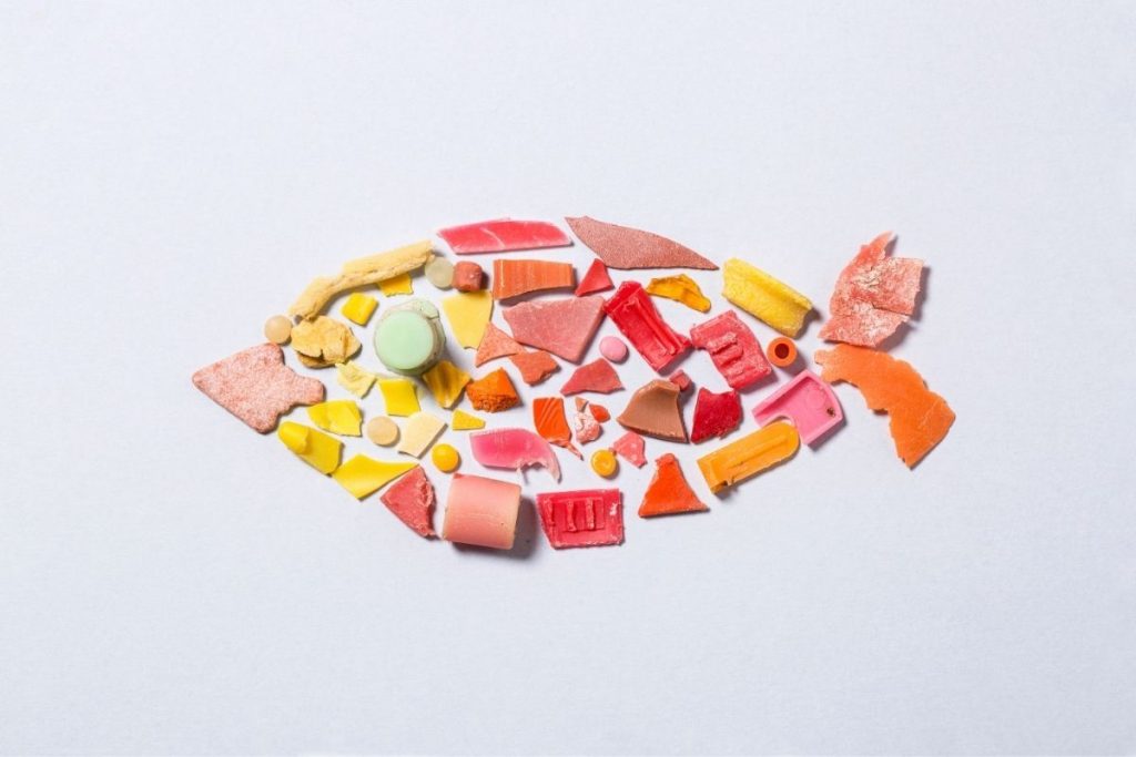 Alimentos: microplásticos en el mar