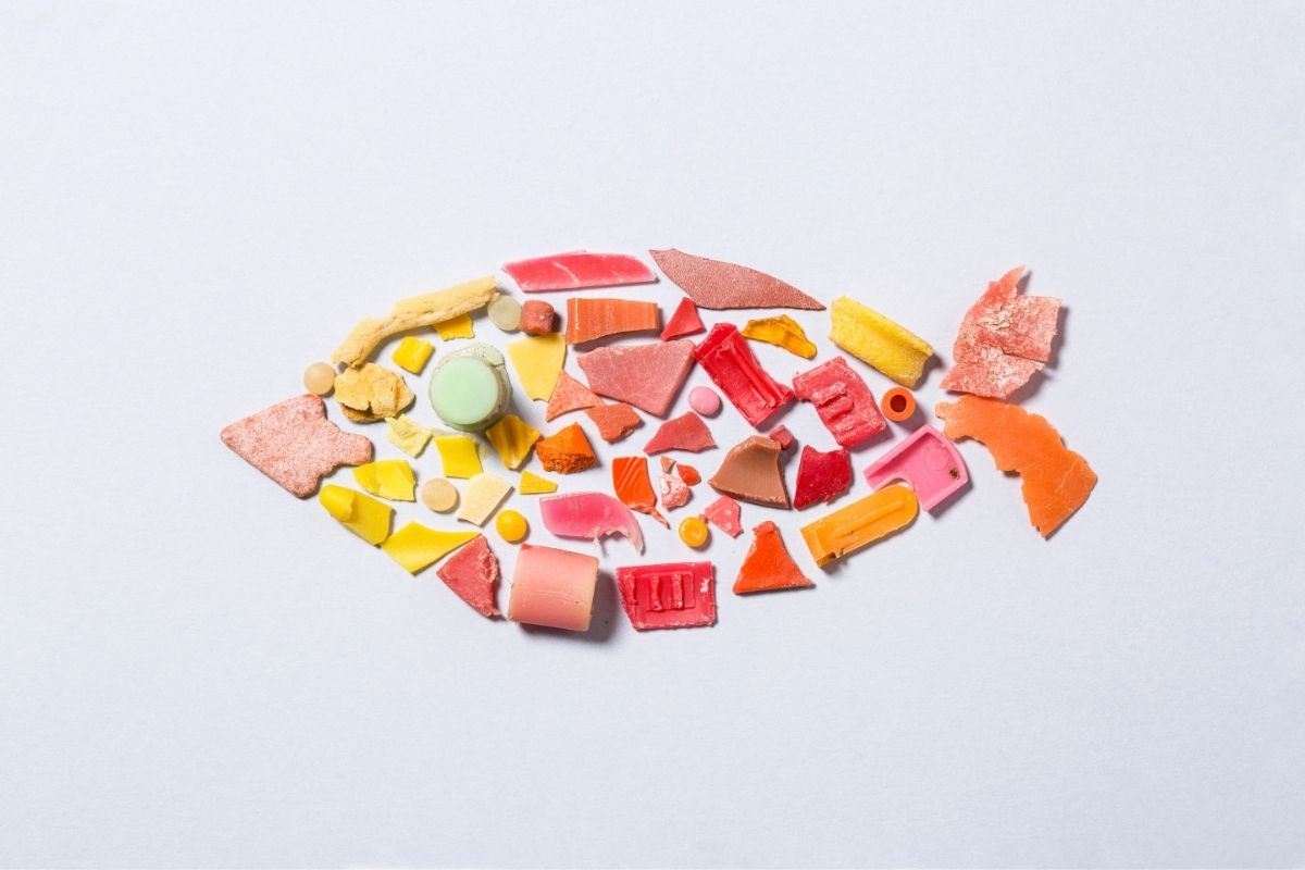 Alimentos: microplásticos en el mar
