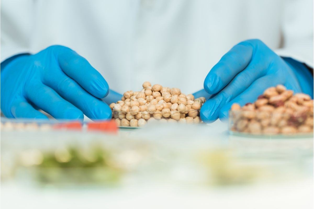 Las 3 principales no conformidades de fraude alimentario en las auditorías y cómo solucionarlas