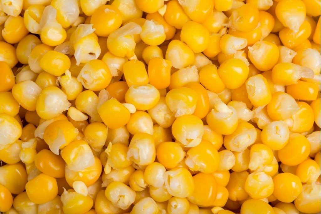 Tips sobre inocuidad alimentaria [marzo 2021]