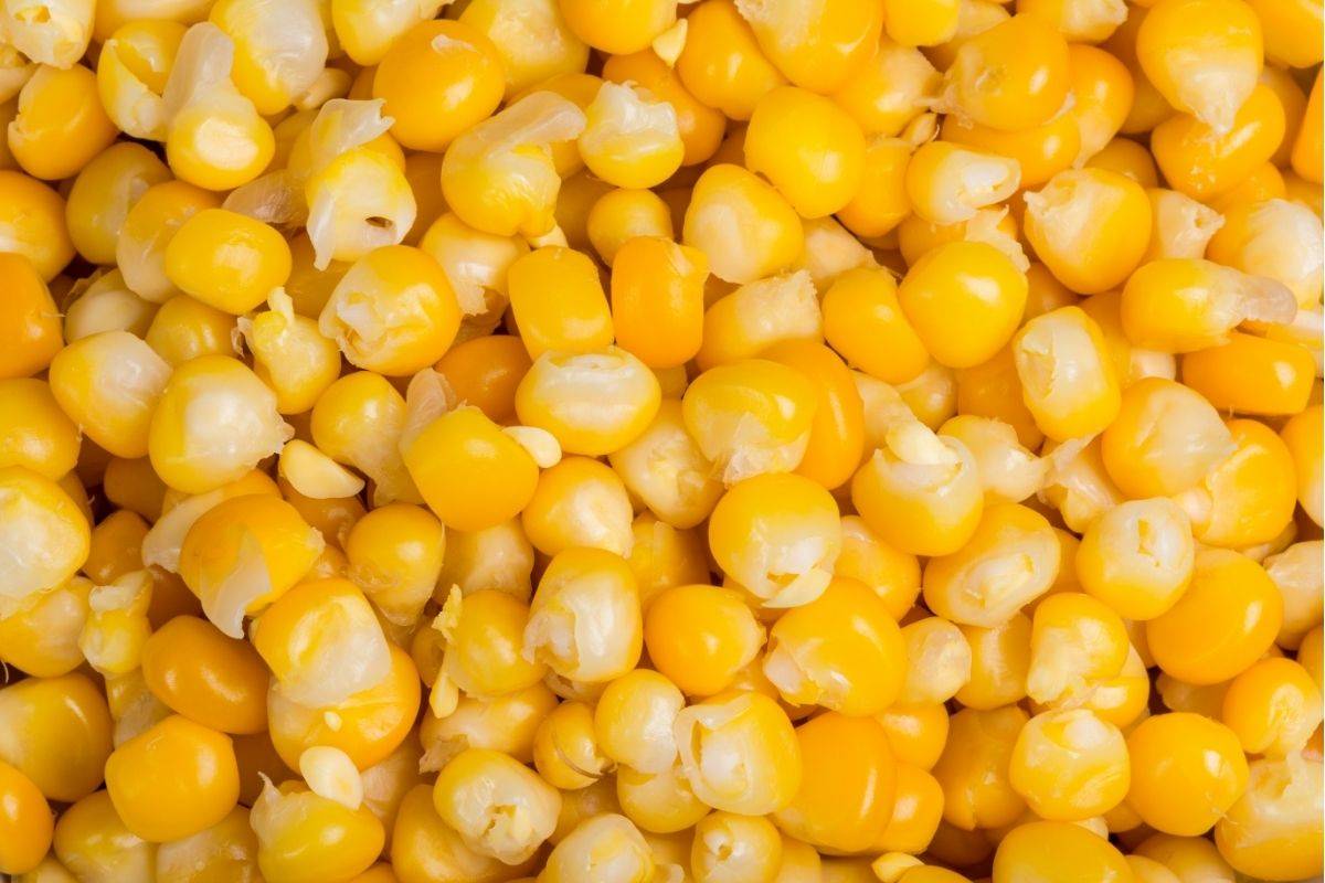Tips sobre inocuidad alimentaria [marzo 2021]