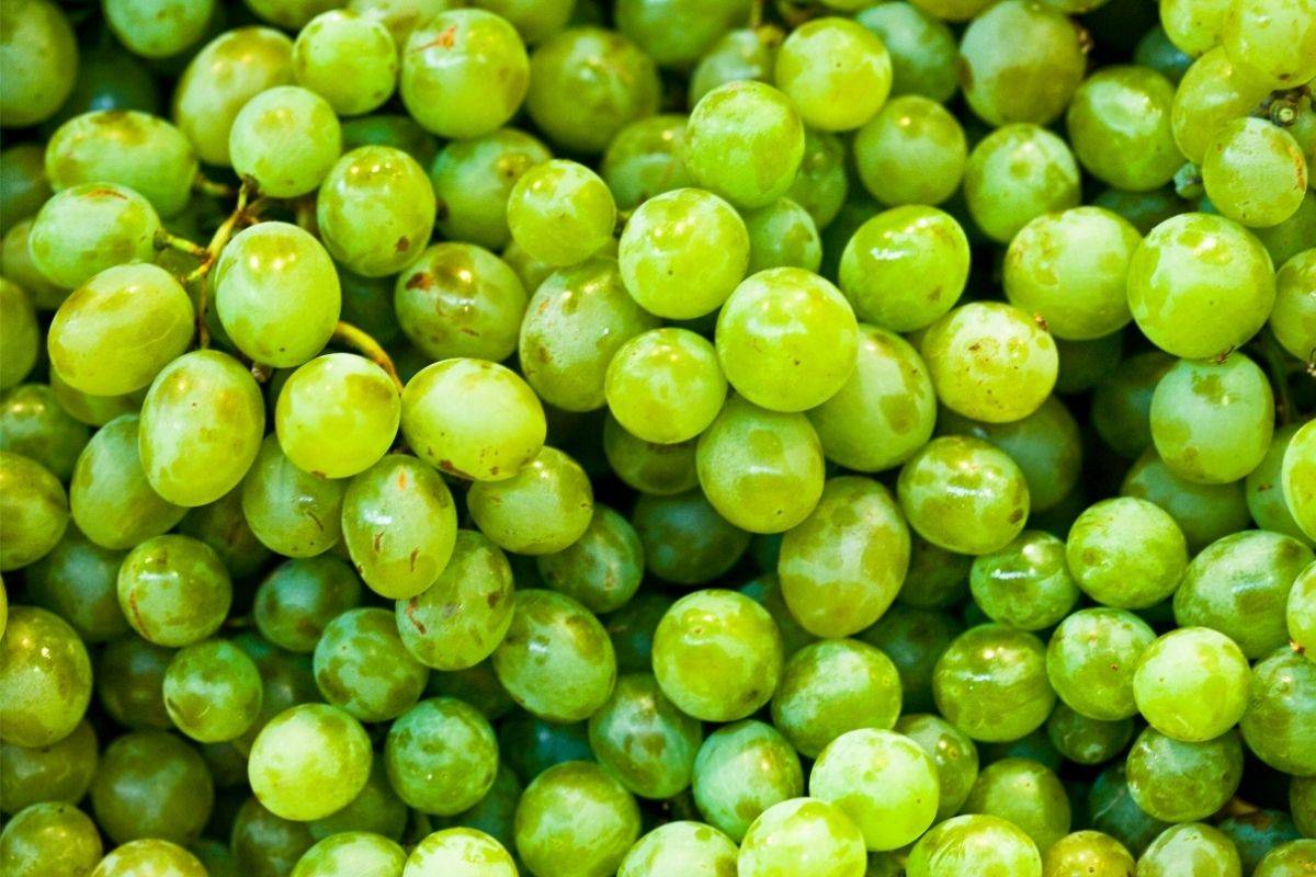 Tips sobre inocuidad alimentaria [abril 2021]