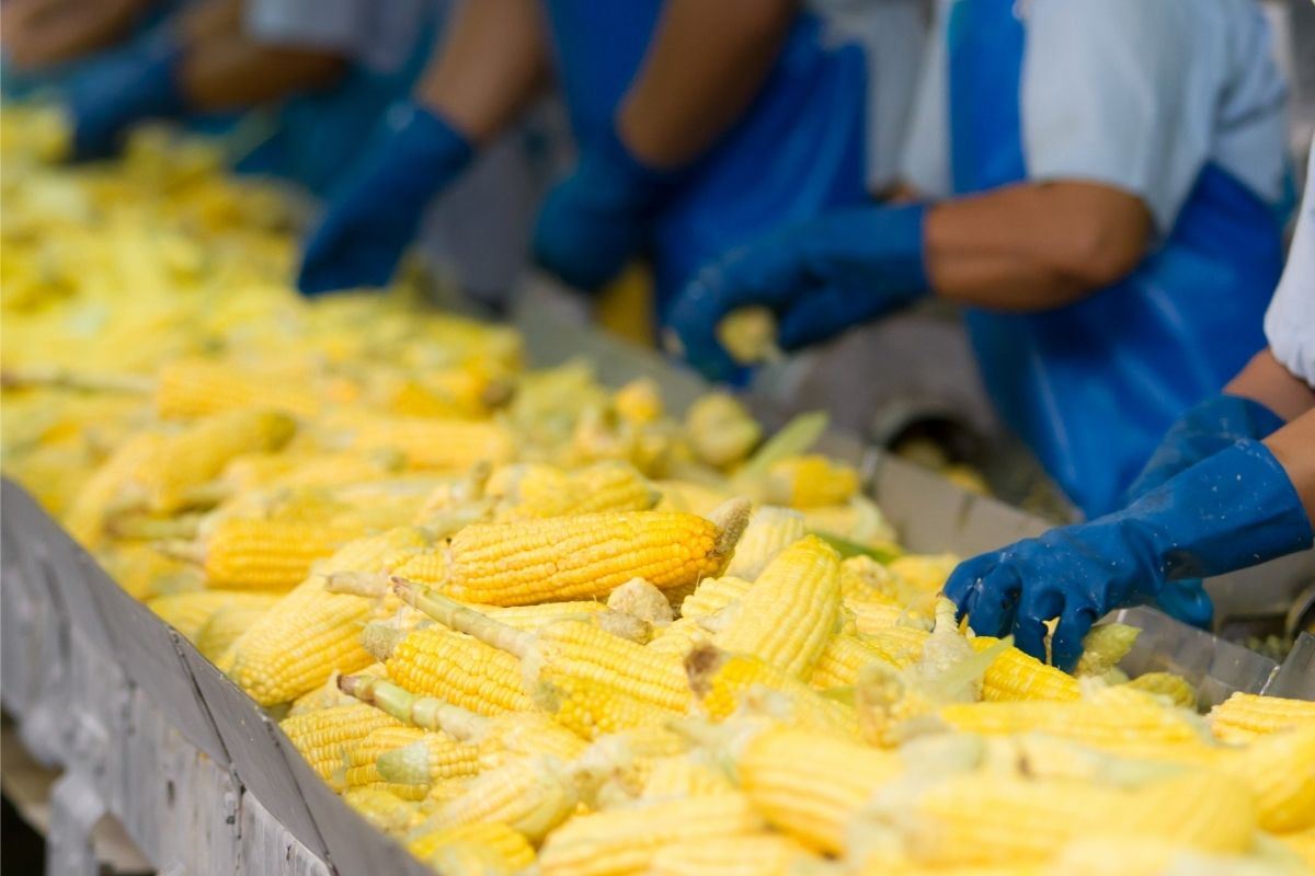 Cartelería PI: Vestimenta en industria de alimentos (calzado, barbijo, guantes y armarios)