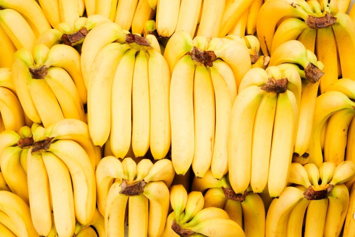 Tips sobre inocuidad alimentaria [mayo 2021]
