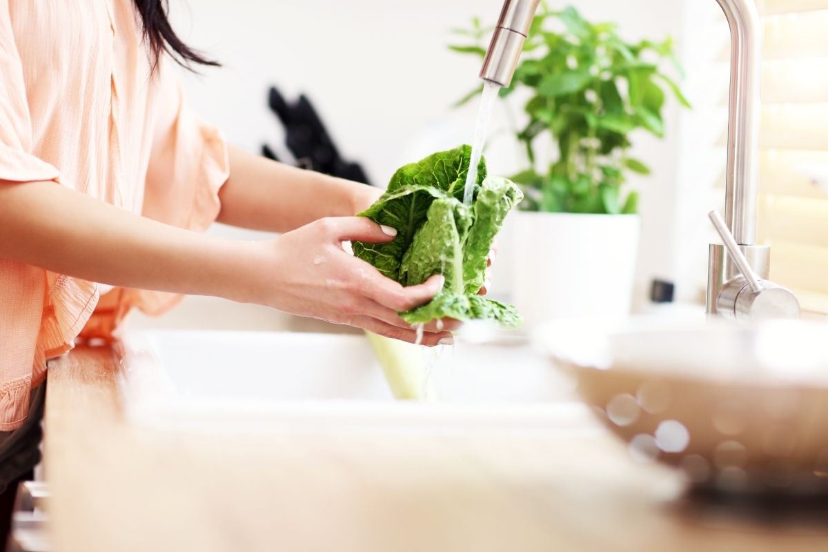 Lavado y limpieza de vegetales
