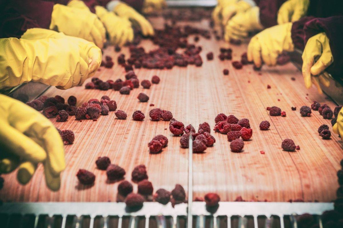 Tip sobre cultura de inocuidad alimentaria 