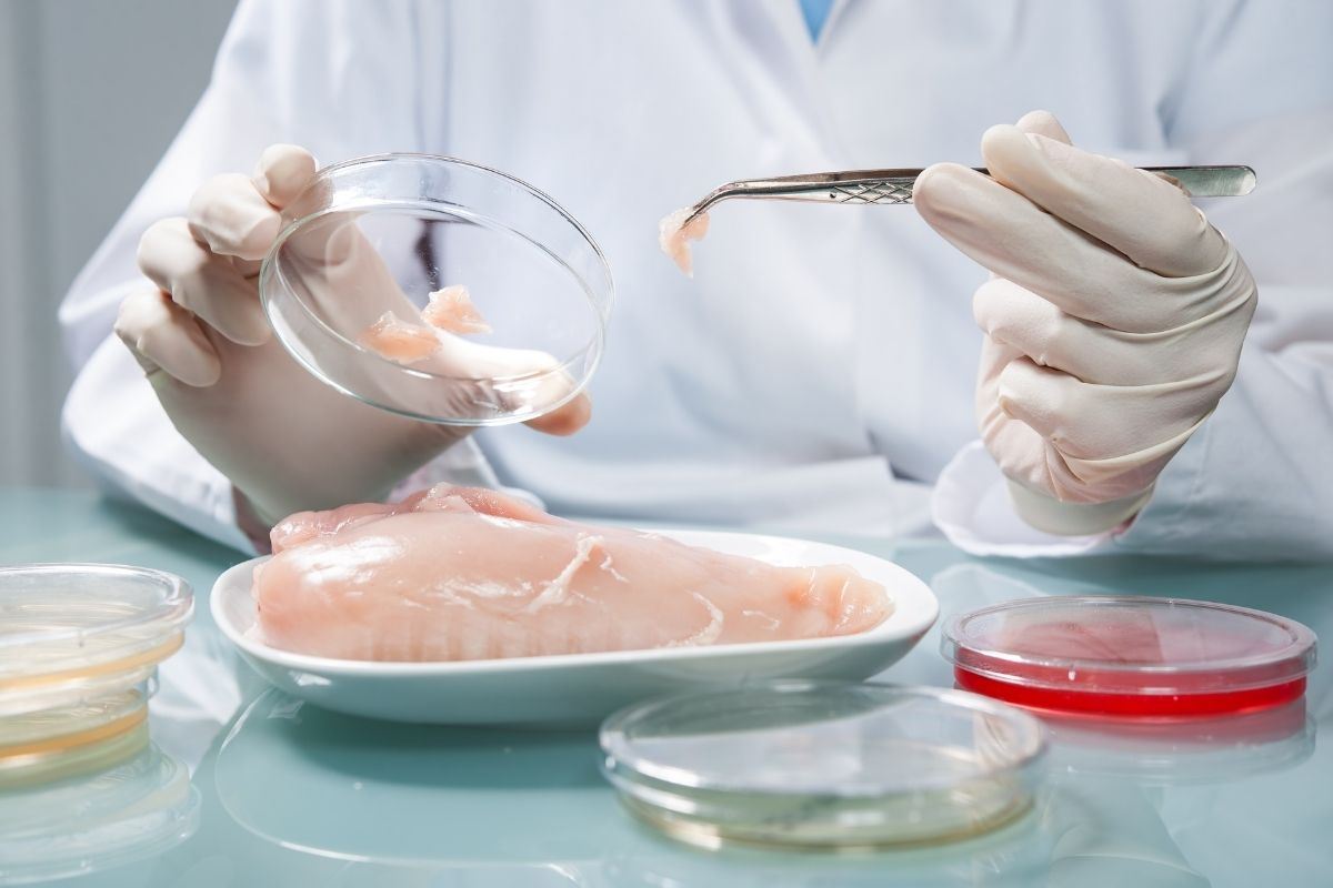 Fraude Alimentario en Europa: continúan aumentando las discusiones