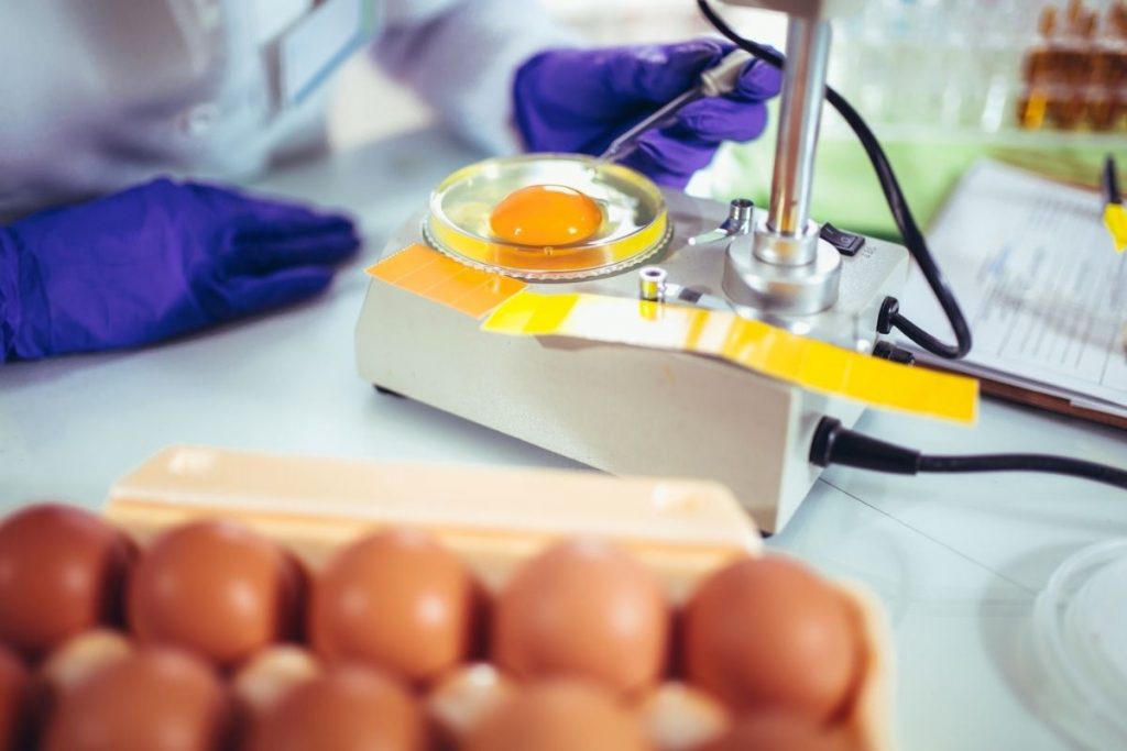 Segundo Seminario Online de Inocuidad Agroalimentaria 2021 [agenda]