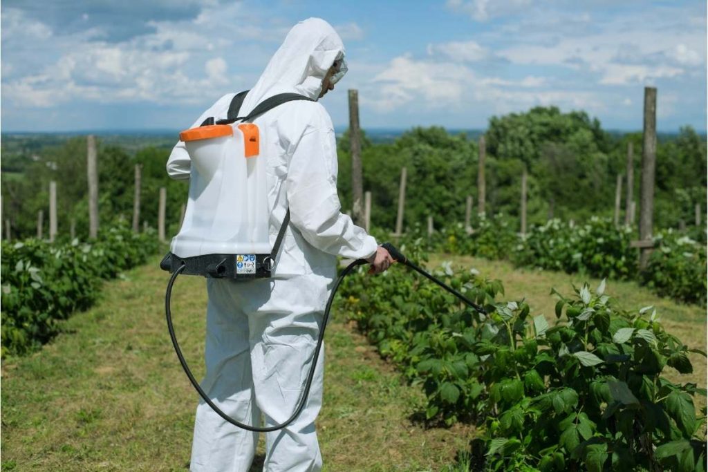 ¿Cómo auditar la evaluación de proveedores de agroquímicos?