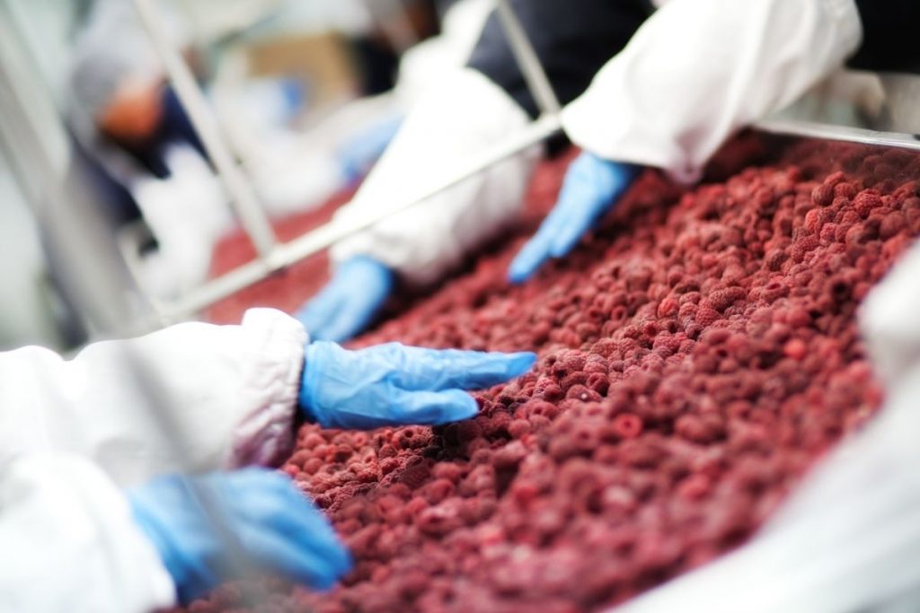 Sistemas de Gestión de Calidad en el Sector Alimentario: BPM (I)