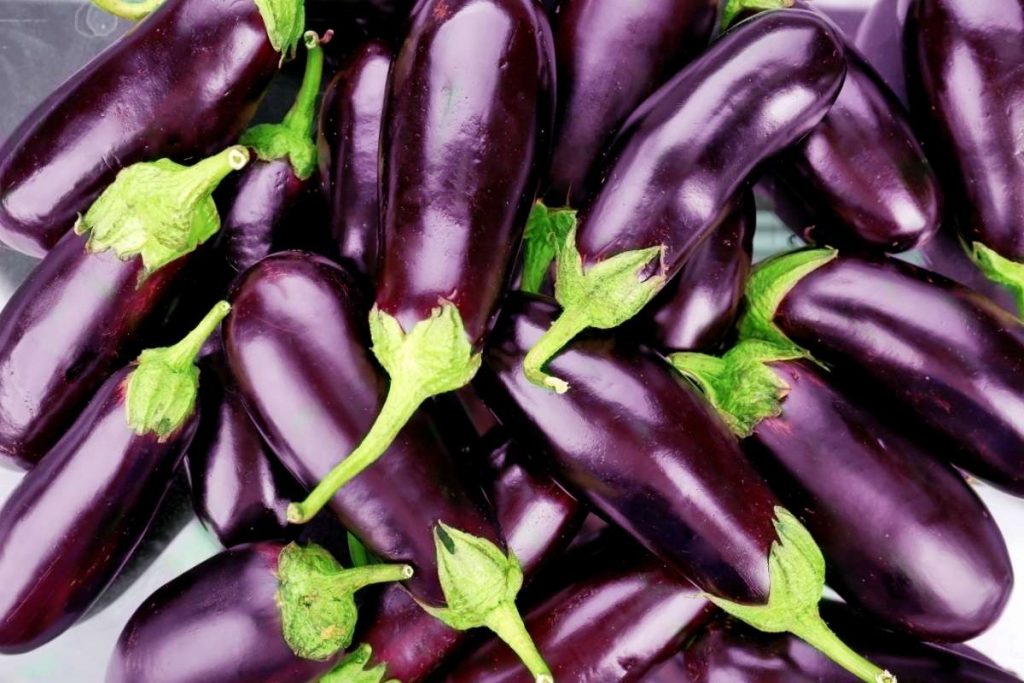 Tips sobre inocuidad alimentaria [septiembre 2021]
