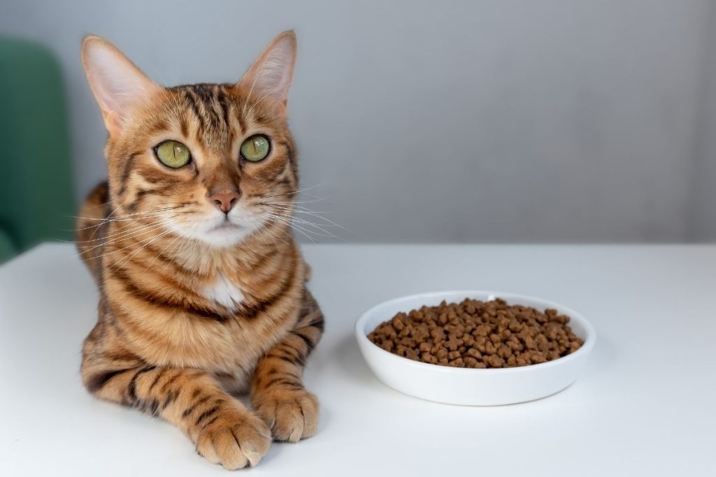 Alimentos para mascotas.
