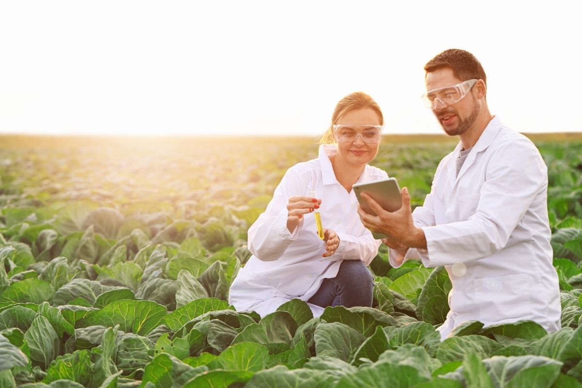 Ingeniería agrícola, mucho más de lo que te imaginas