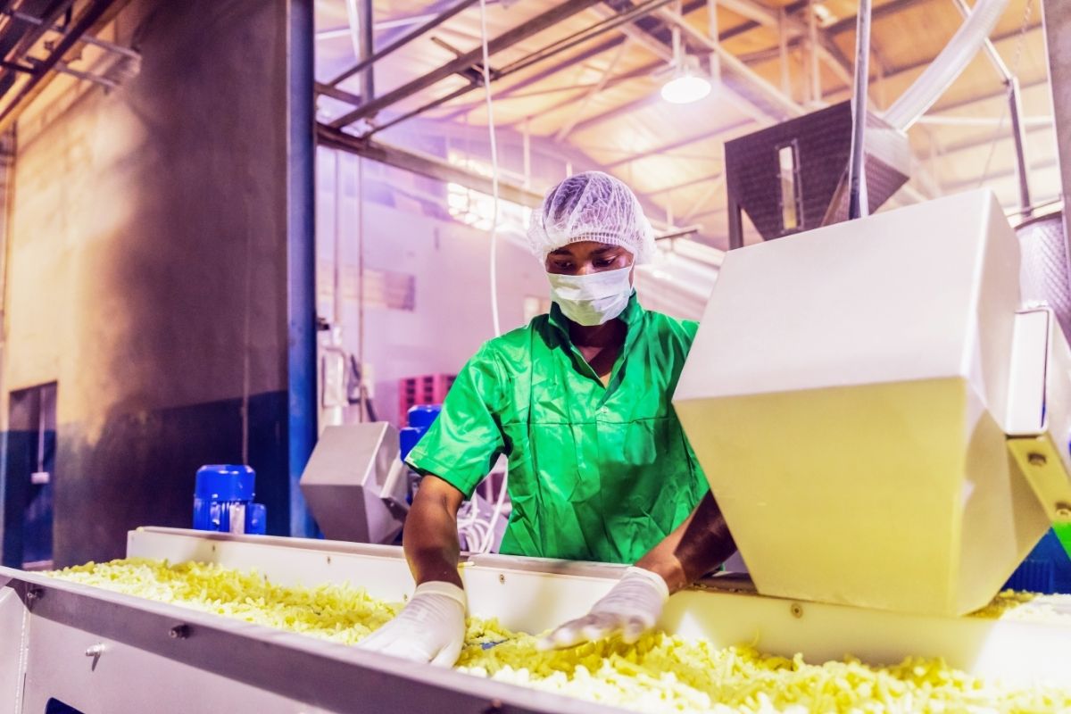 Sistemas de Gestión de Calidad en el sector agroalimentario: HACCP (II)