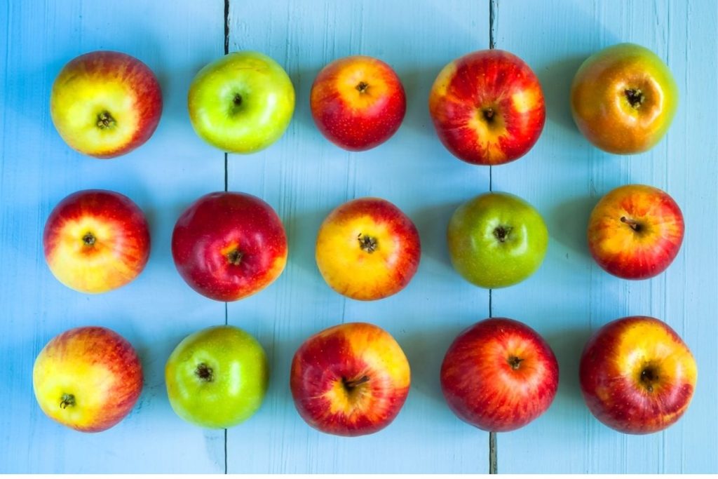 Tips sobre inocuidad alimentaria [noviembre 2021]