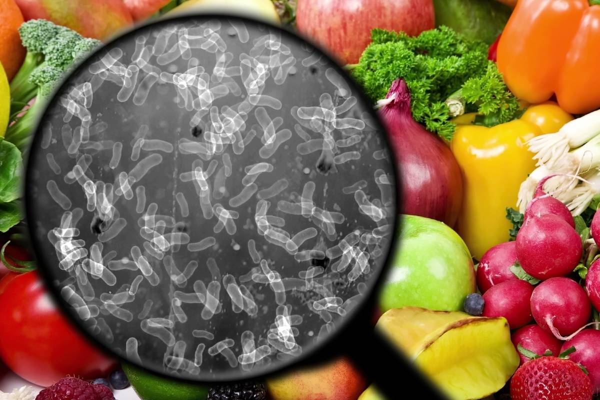Control de microorganismos patógenos en sistemas de producción vegetal