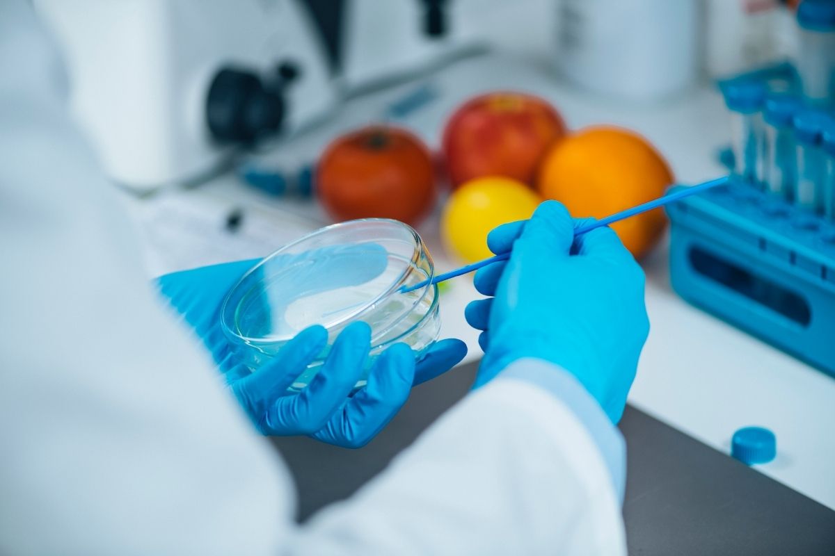 Control de microorganismos patógenos en sistemas de producción vegetal (Parte II)