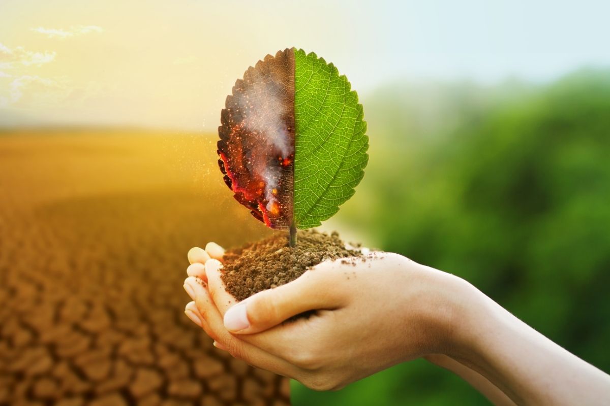 Cambio climático y la probabilidad del aumento de enfermedades por microorganismos y contaminantes químicos