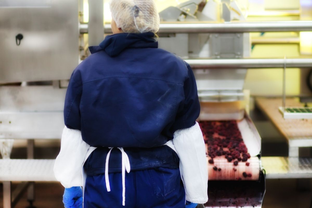Cómo denunciar problemas de inocuidad alimentaria en nuestros propios ámbitos