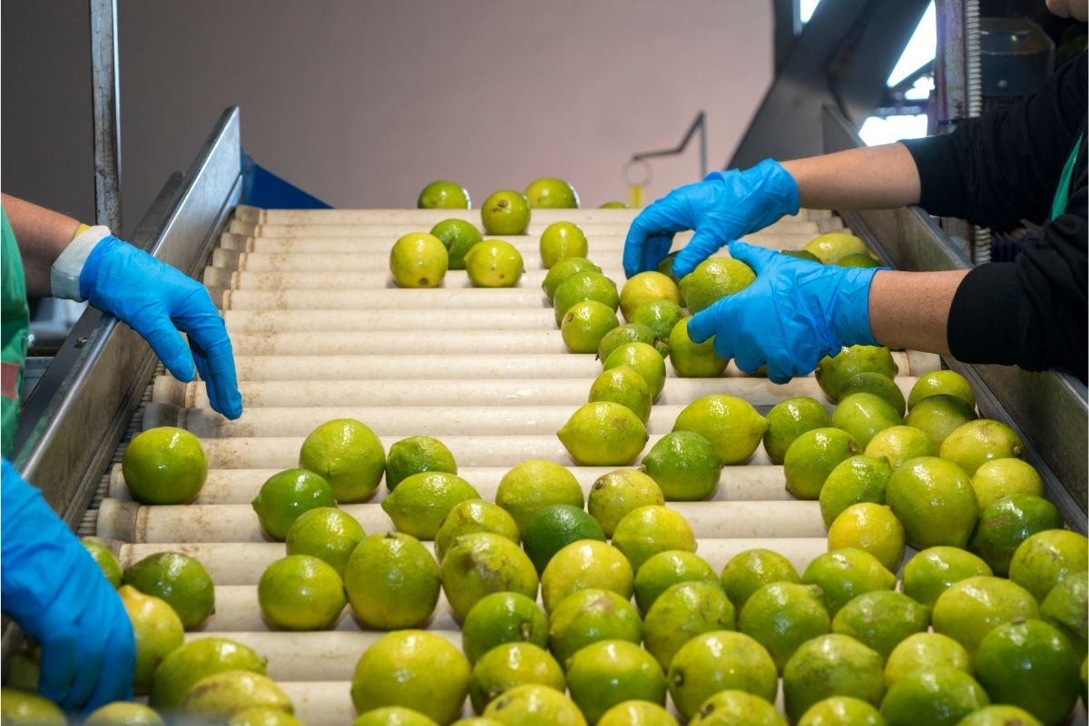 Novedades en la industria de alimentos con Paula Feldman [grabación]