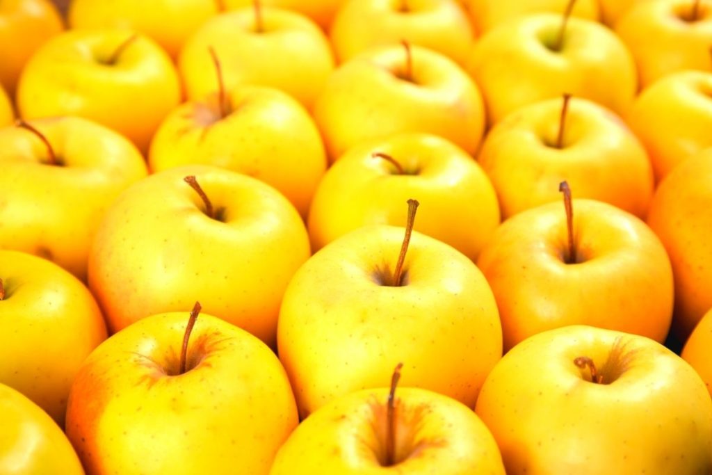 Tips sobre inocuidad alimentaria [febrero 2022]