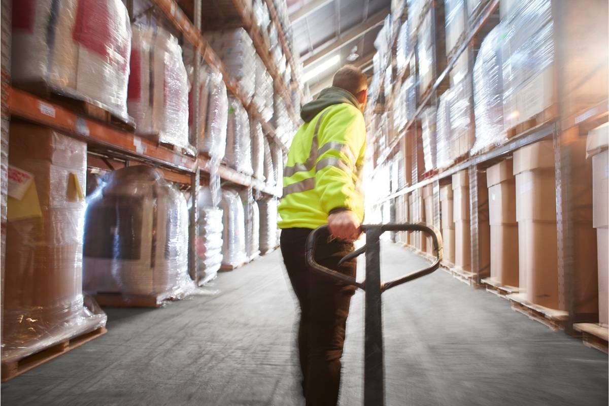 Plagas: importancia del armado de pallets