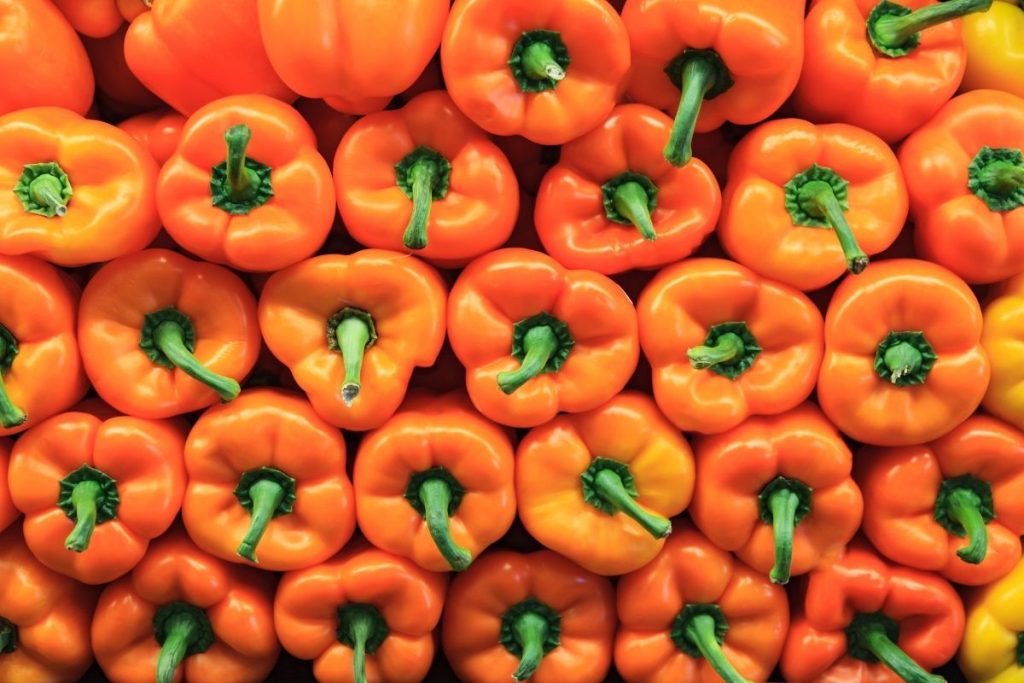 Tips sobre inocuidad alimentaria [marzo 2022]