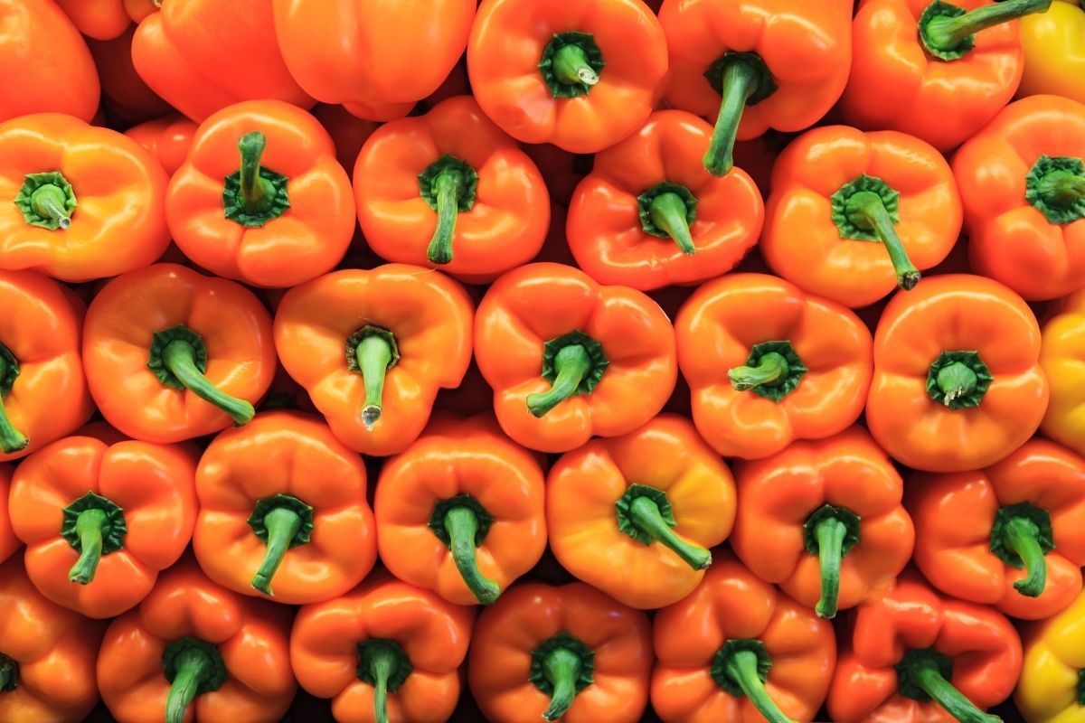Tips sobre inocuidad alimentaria [marzo 2022]