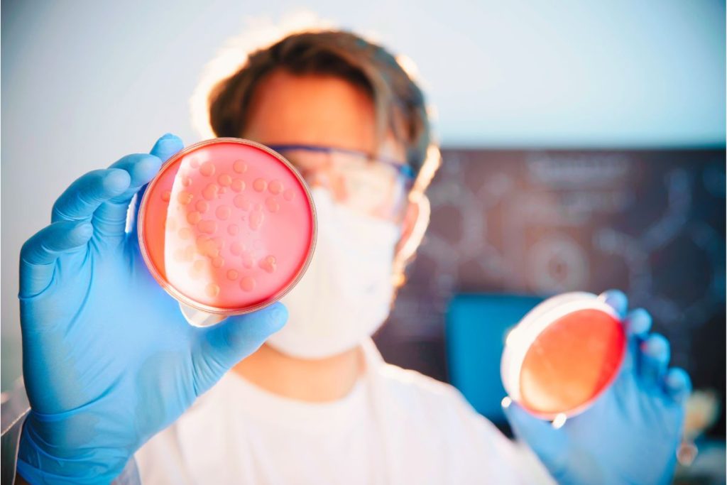 Tendencias en la microbiología aplicada a la industria de alimentos [Linkedin Live]