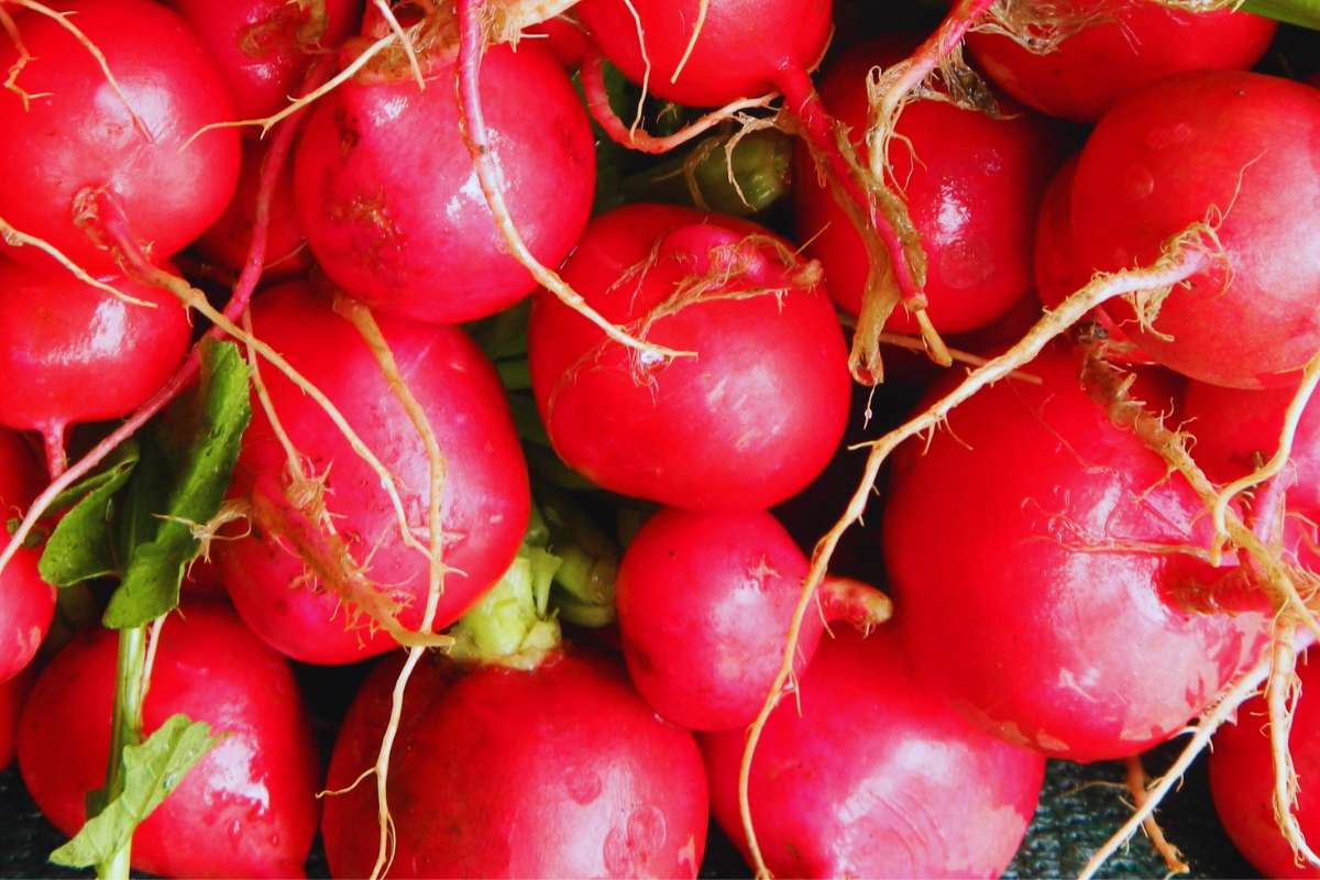 Tips sobre inocuidad alimentaria [mayo 2022]